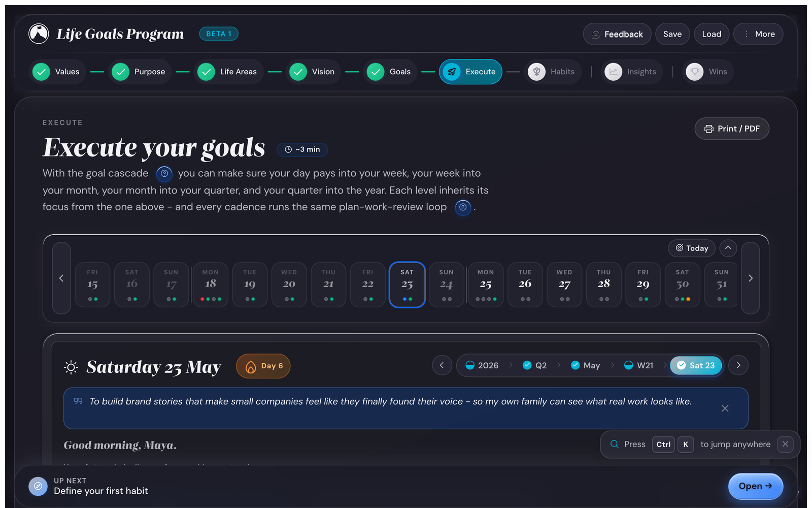 Execute view in dark mode