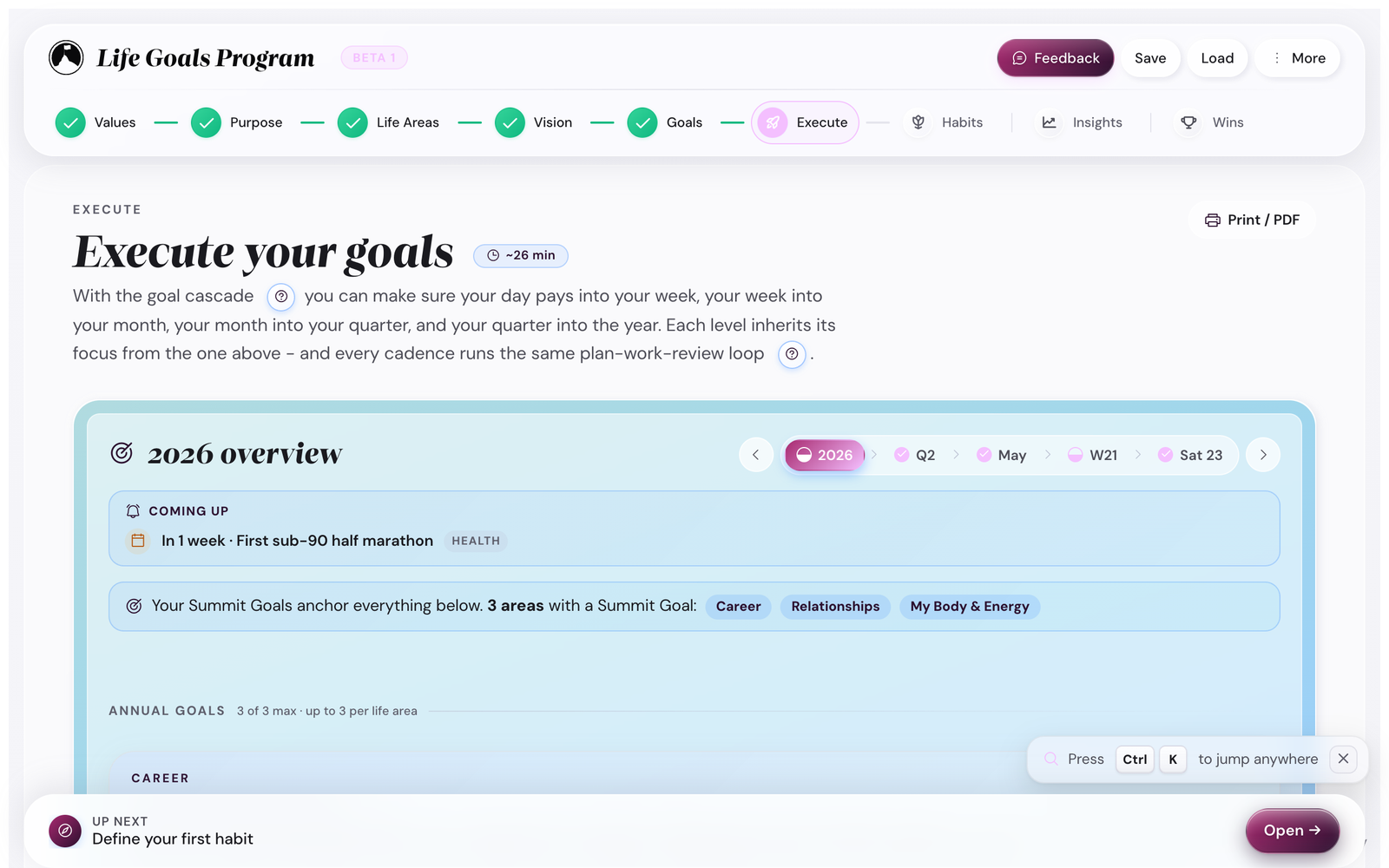 Execute Year view with annual goals overview