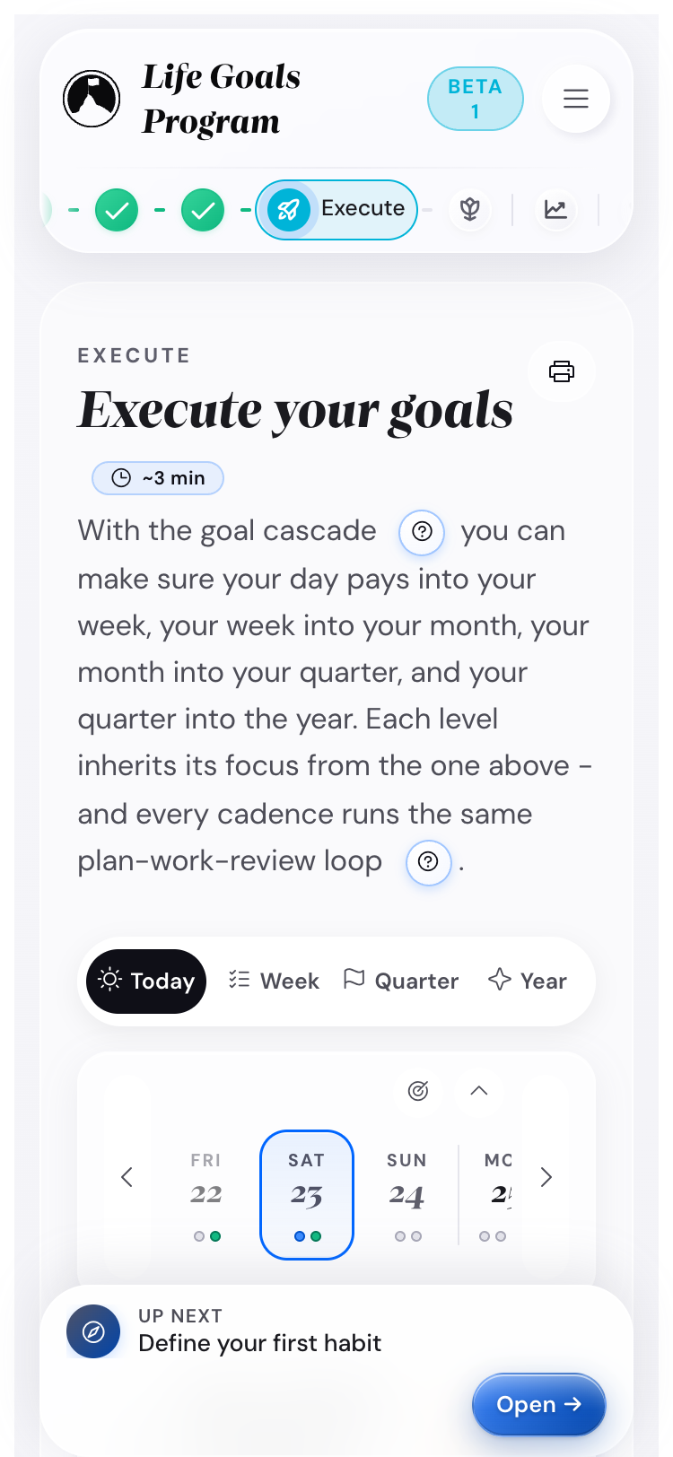 The Execute step on a mobile viewport