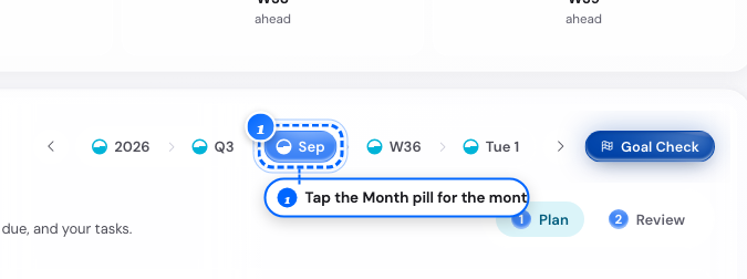 The cascade pills with the Month pill on a computer