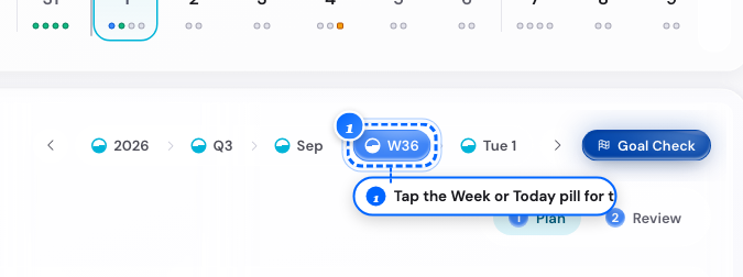 The cascade pills with the Week pill on a computer