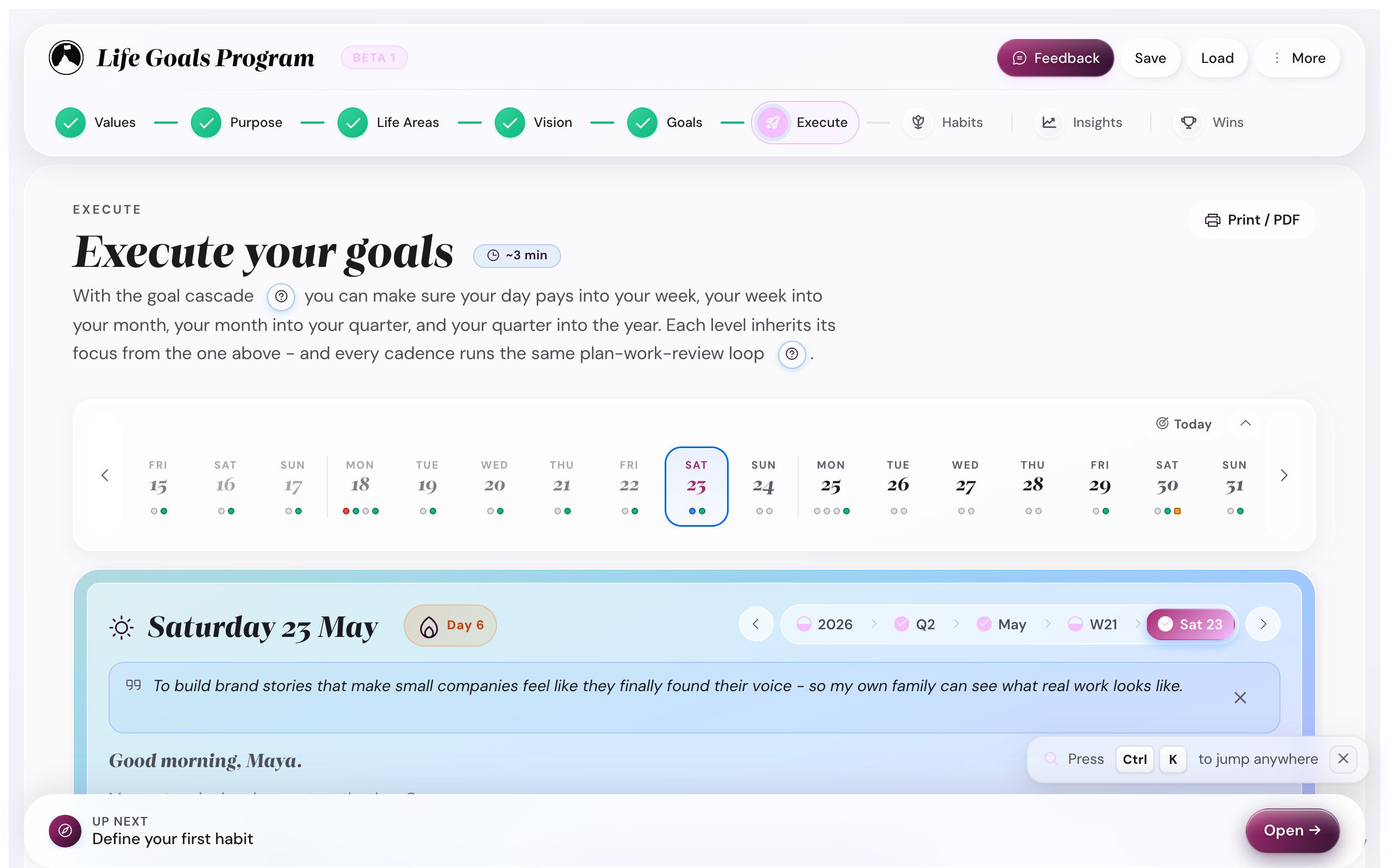 Life Goals Program companion app, daily reflection view