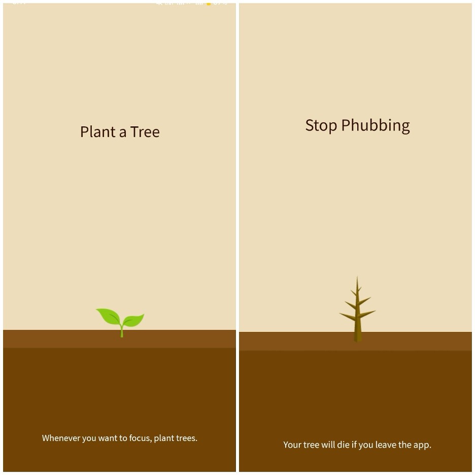 Boost Your Focus with the Forest App: A Path to Better Productivity 1 screenshot of the forest app - in a nutshell - leaving the app causes the tree to die, staying in the app (and not get distracted) let it grow.