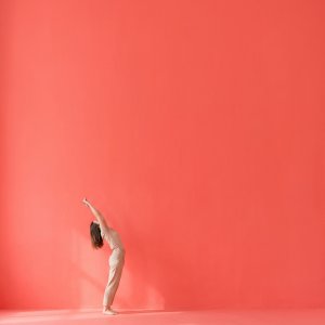 Back Pain from Desk Work Solutions: The 3-Pillar Fix