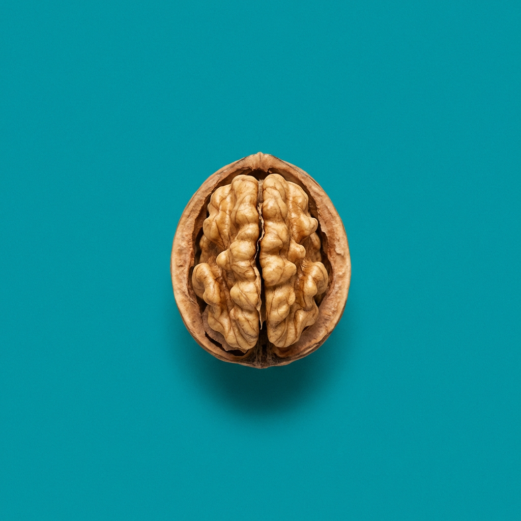 Brain-Boosting Foods for Productivity: 10 That Work