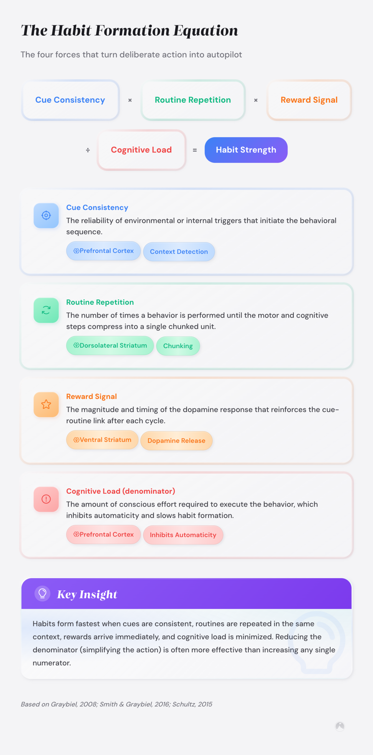 Conceptual equation: Habit Strength = (Cue Consistency × Routine Repetition × Reward Signal) ÷ Cognitive Load, with brain regions per factor (Graybiel, 2008).