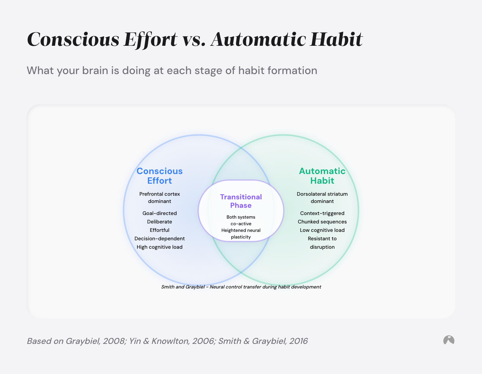Conscious Effort vs. Automatic Habit: What your brain is doing at each stage of habit formation