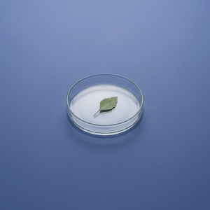 Continuous learning research and science: what the evidence says