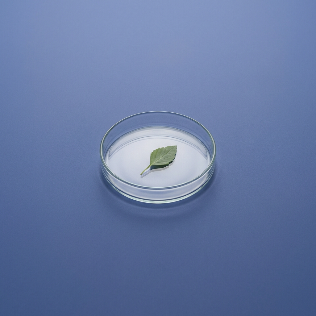 Continuous learning research and science: what the evidence says