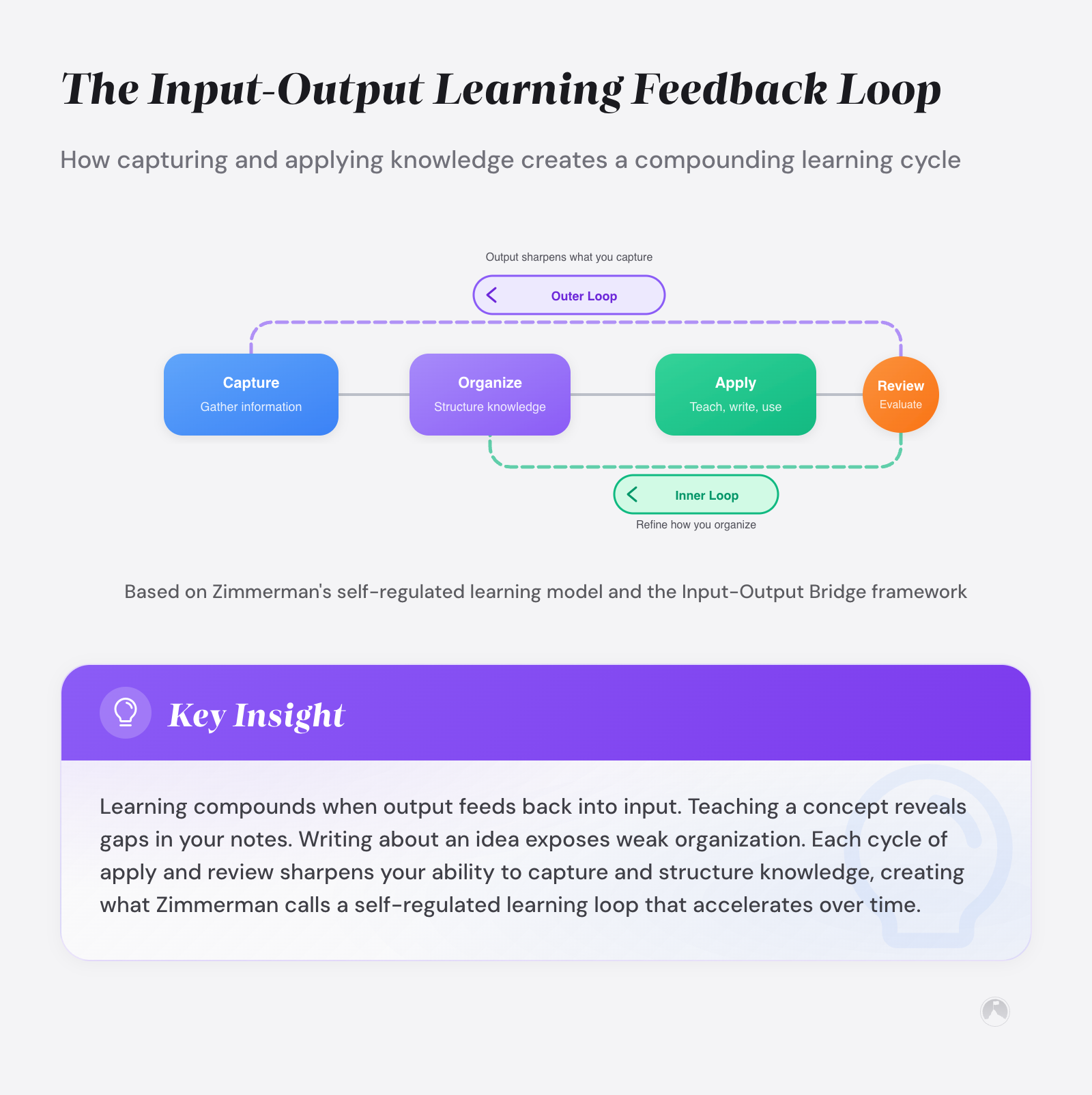 Diagram of a four-stage learning feedback loop: Capture → Organize → Apply → Review, with inner and outer feedback arrows cycling back.