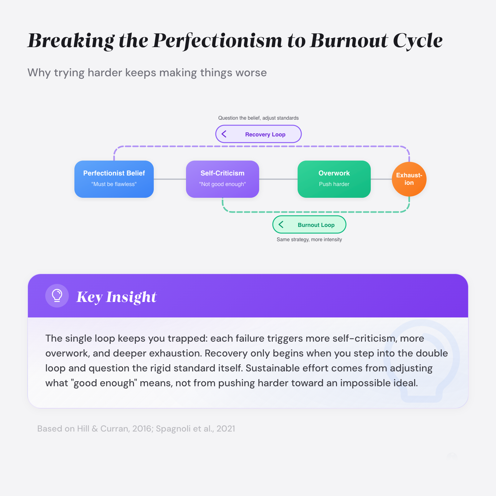 Flow diagram: Perfectionist Belief → Self-Criticism → Overwork → Exhaustion, with burnout loop back to self-criticism and recovery loop back to belief. (Hill & Curran, 2016)