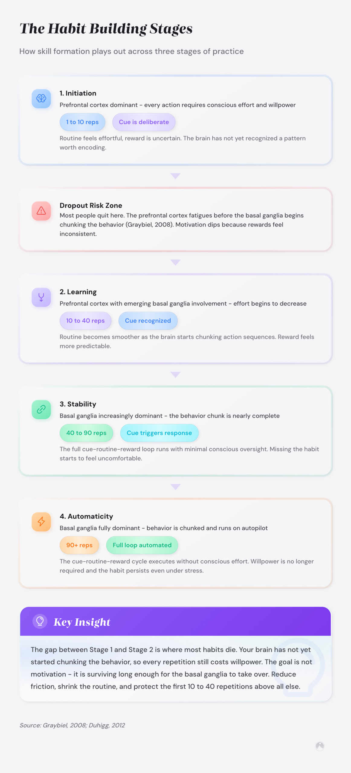 Four habit-building stages from Initiation to Automaticity, showing brain shift from prefrontal cortex to basal ganglia (Graybiel, 2008). Rep ranges are illustrative.