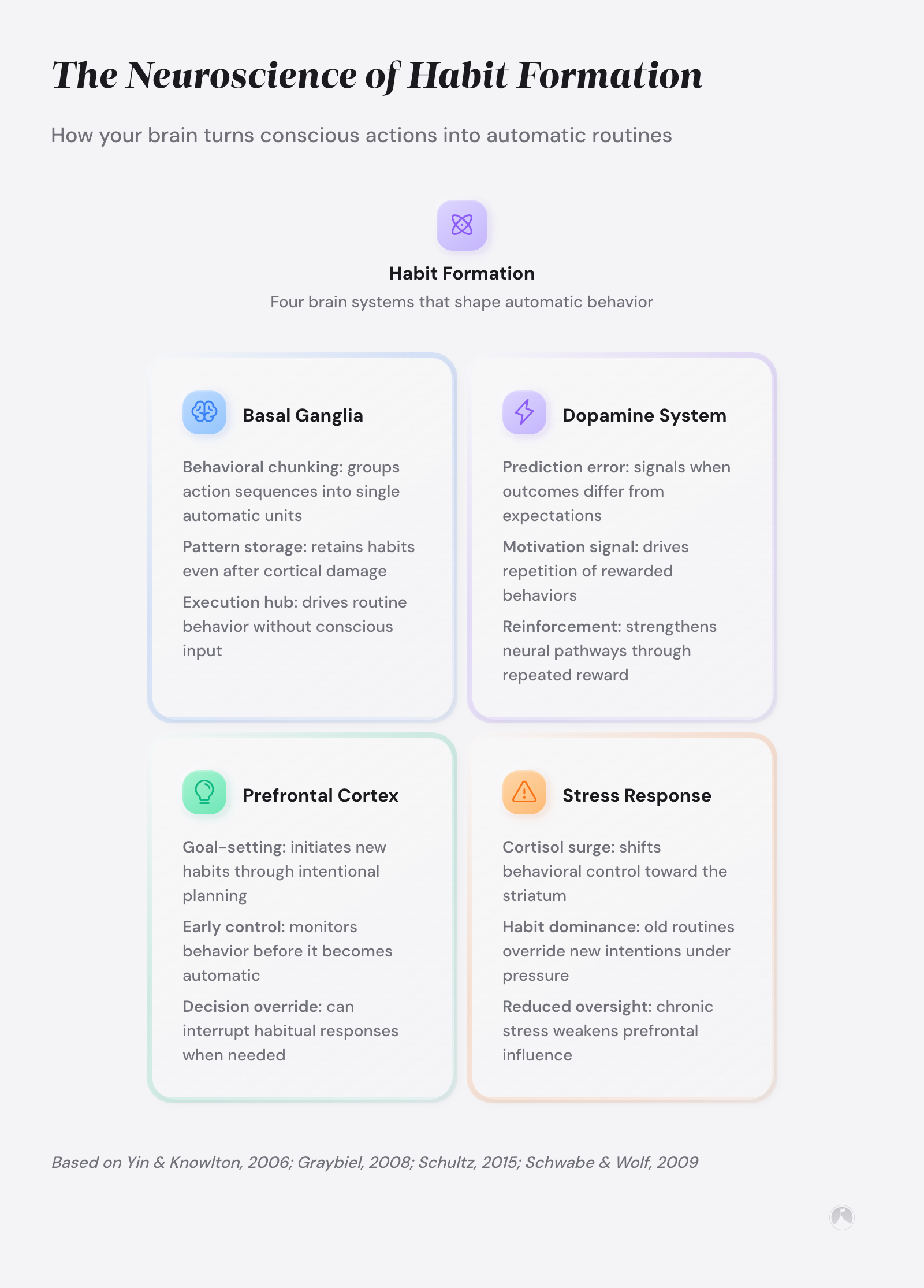 Mind map of four brain systems in habit formation: basal ganglia, dopamine system, prefrontal cortex, and stress response (Graybiel, 2008; Schultz, 2015).