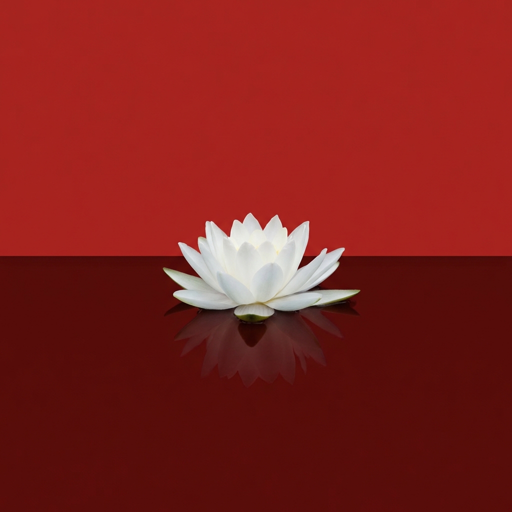 Mindfulness for productivity: Build focus without burnout