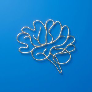 Movement Cognition Science: Why Movement Rewires Thinking