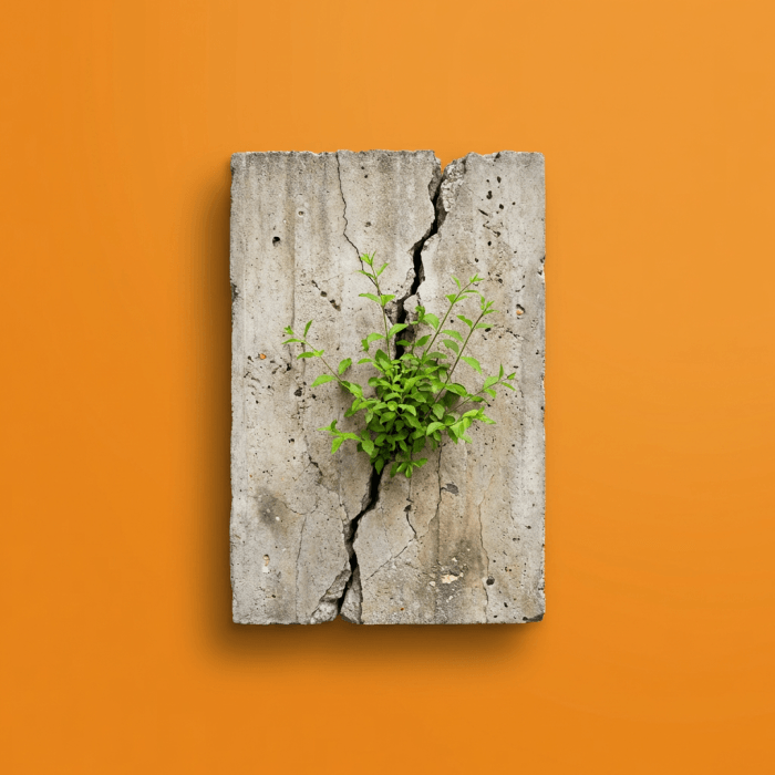 Overcoming Creative Blocks in Learning: The Block-Type Diagnostic