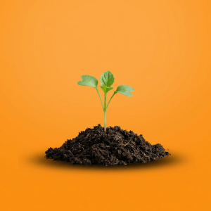 Personal growth strategies: your complete guide to sustained results