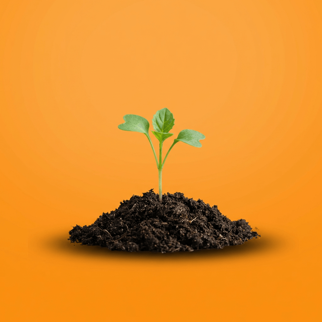 Personal growth strategies: your complete guide to sustained results