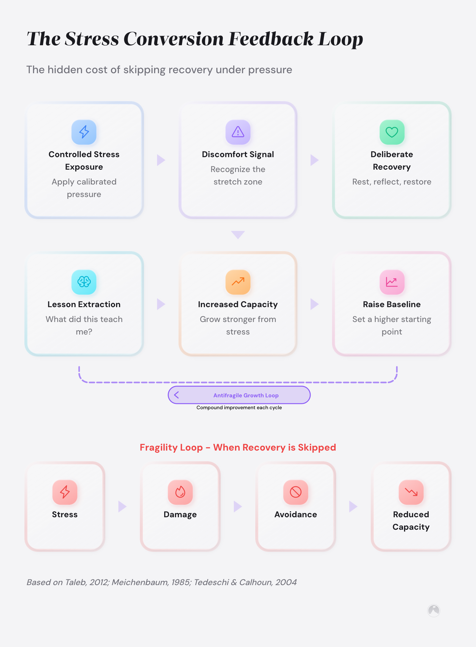 Six-step antifragile feedback loop: controlled stress exposure, discomfort signal, deliberate recovery, lesson extraction, increased capacity, raised baseline. Based on Taleb (2012).