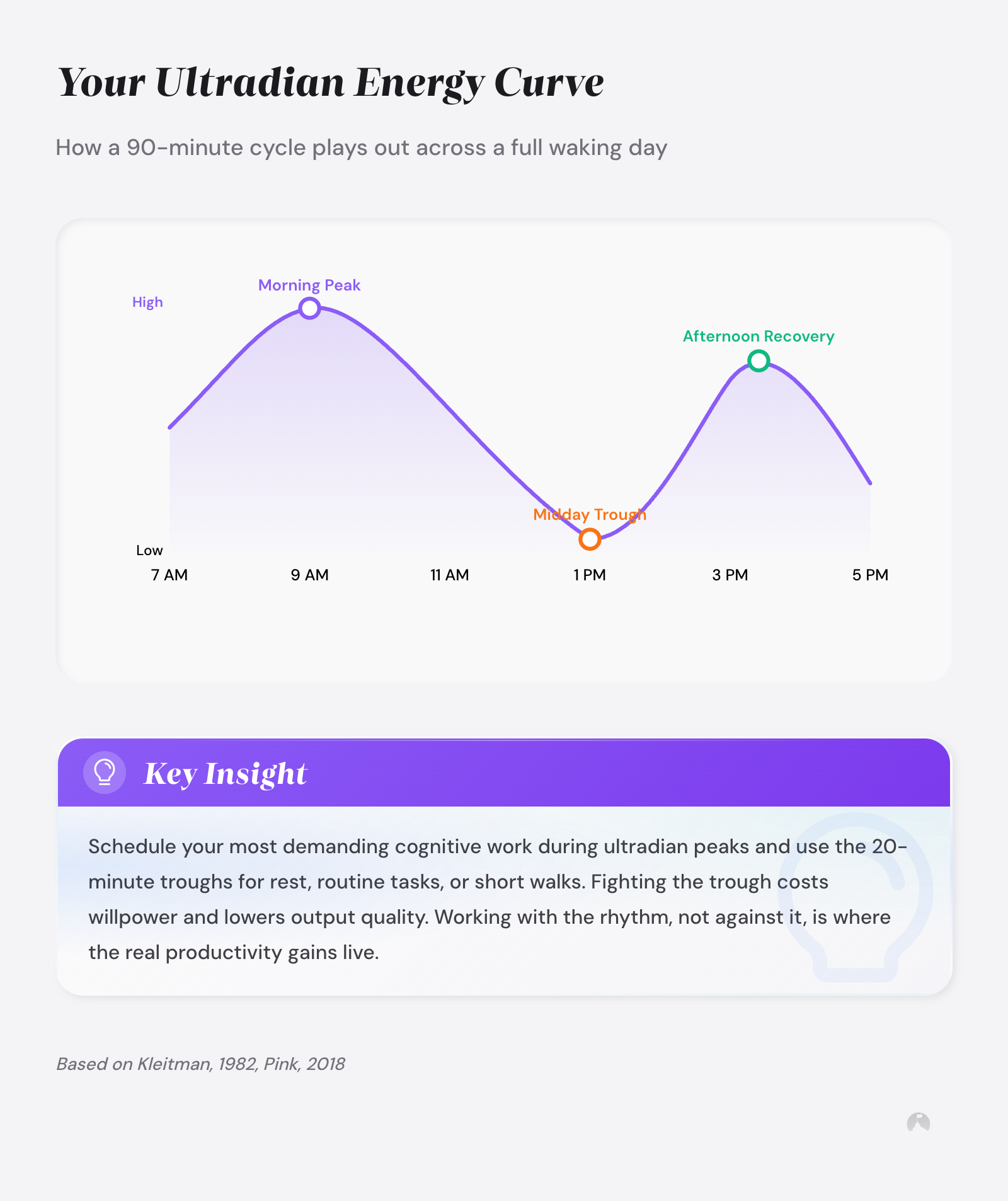 Your Ultradian Energy Curve: How a 90-minute cycle plays out across a full waking day