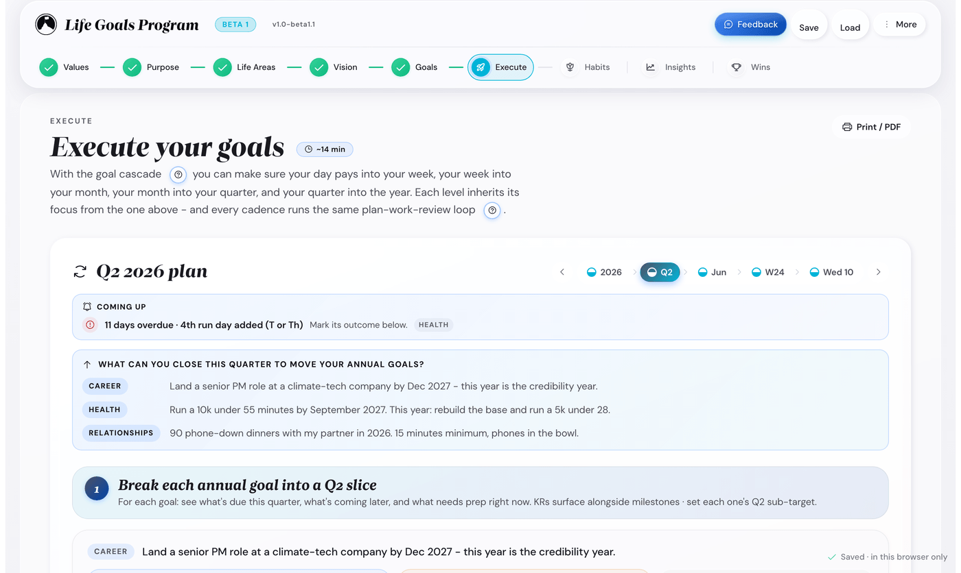 The Life Goals App showing an annual goal with its obstacles and counter-moves